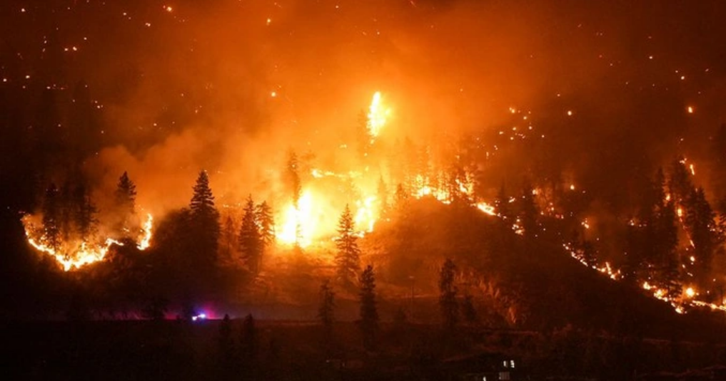 Canada: Hàng chục nghìn người phải sơ tán do cháy rừng